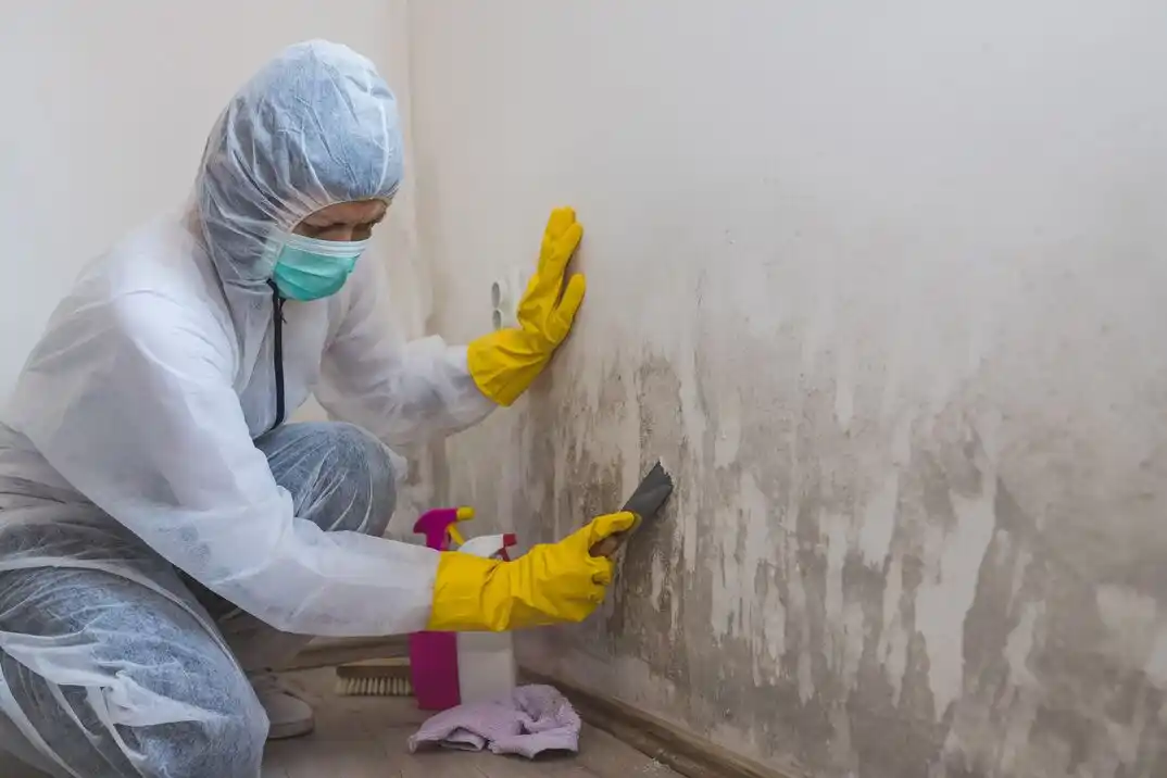 water damage restoration service Acadia Place